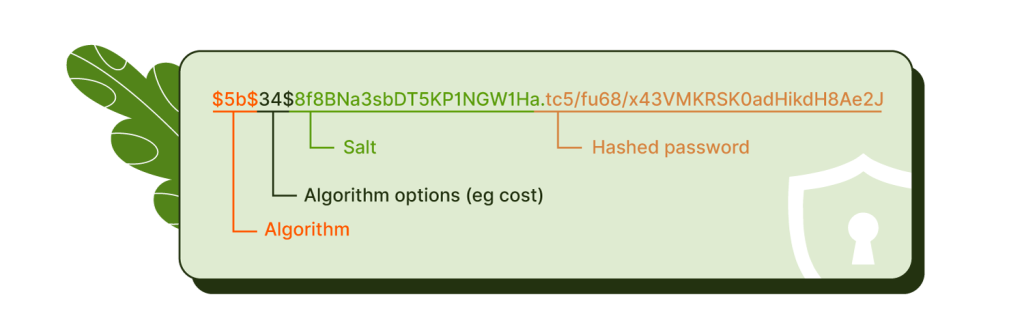 The makeup of a hashed password using a salt